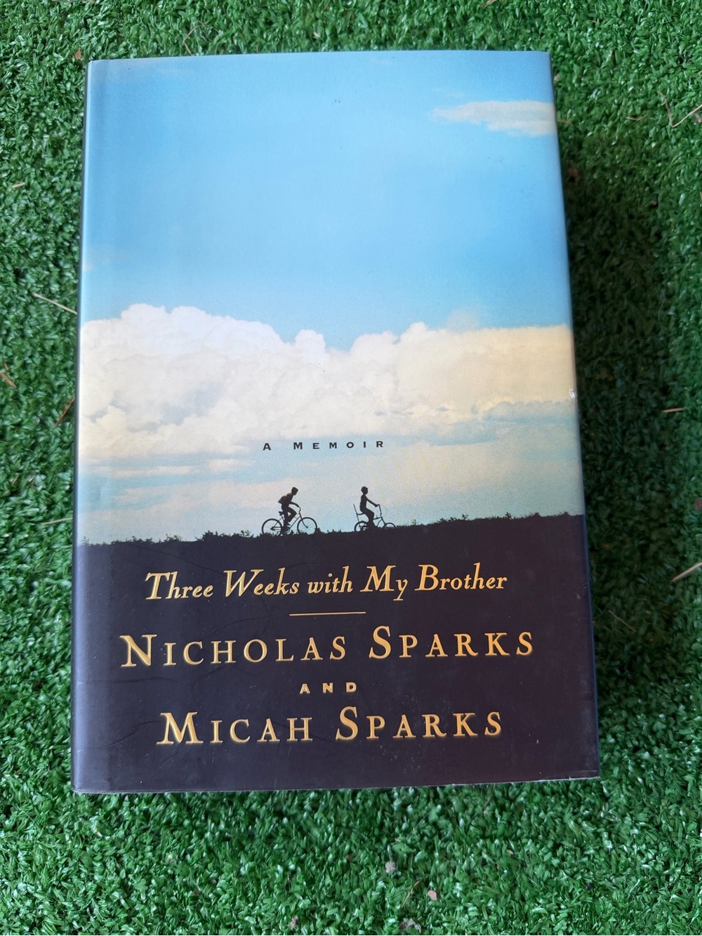 3 for $10 Nicholas Sparks - Three Weeks with My Brother